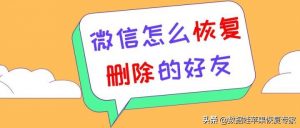 怎样恢复好友微信运动（微信怎么恢复删除的好友，3个方法推荐）-华海博客