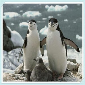 厦门金盾门业（厦门金盾门业怎么样）-华海博客