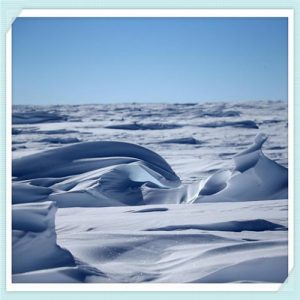 成年女款毛衣编织花样（成年女款毛衣编织花样竖向花纹）-华海博客