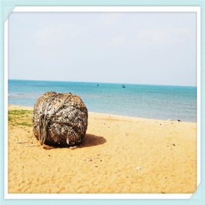 张爱玲散文《迟暮》（张爱玲散文《迟暮》赏析）-华海博客