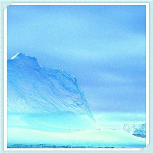 奥迪怎么样（奥迪怎么样好不好）