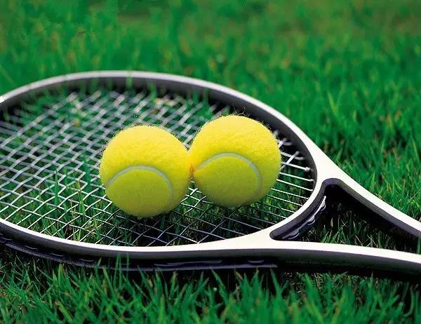 wilsonhammer系列(球拍对打球的影响到底多大?)