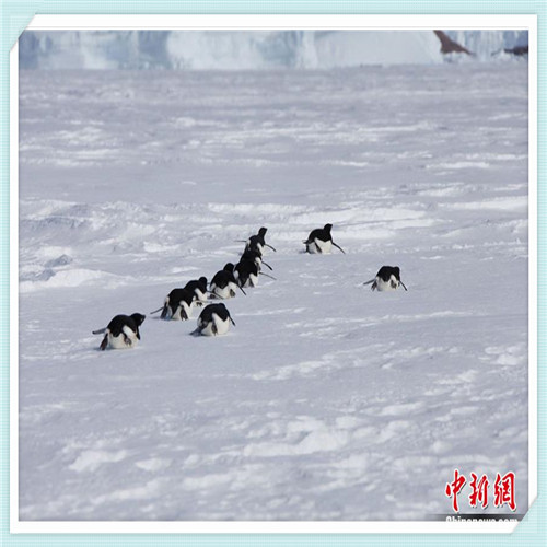 女人打扮的漂亮（是给男人的面子）