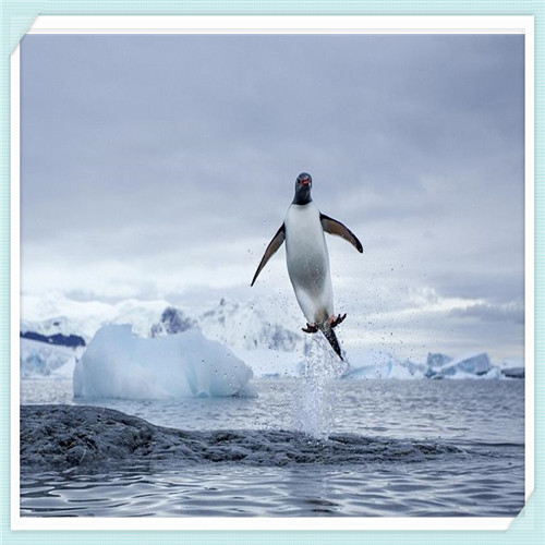 萘非滴眼液能消炎吗(萘非滴眼液有消炎作用吗)
