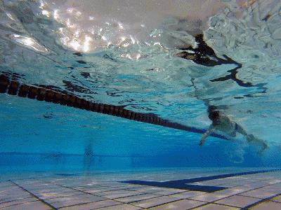 游泳是最好的运动吗（游泳是最为健康的运动，连医生都推荐，这就是原因）