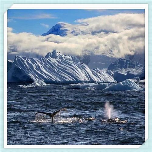 播放去年的英语(去年的暑假英语)