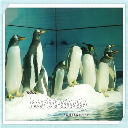 每天坚持做哪些可恢复近视眼(近视通过调理可以恢复视力吗)