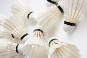 威克多哪款羽毛球贵(入门级羽毛球推荐(平价,性价比高))-华海博客