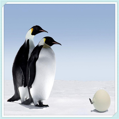 一天什么时候算下午(一天中什么时候开始算下午)