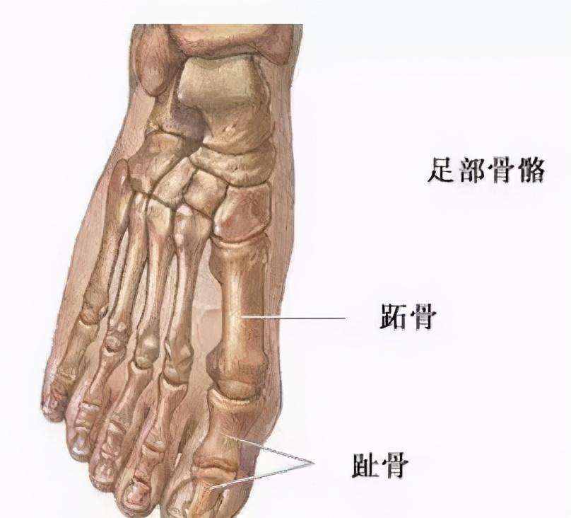 足球运动员容易哪里受伤（欧洲杯激战，这5种常见的足球运动损伤你不可不知）