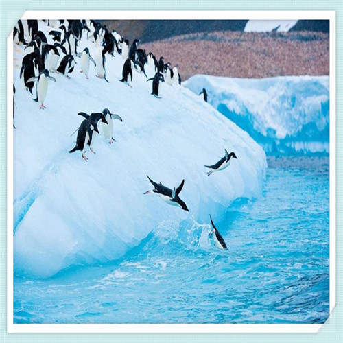 高分好评小说排行榜（高分好评小说排行榜欢欢喜）
