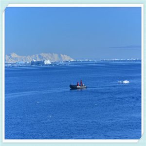 美国大师漆和德国都芳哪个好（德国舒尔茨和美国大师漆哪个好）-华海博客