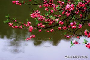 足球的球怎么组词字怎么组词（三年级语文上册词辨字组词大全，值得为孩子收藏的学习资料）-华海博客