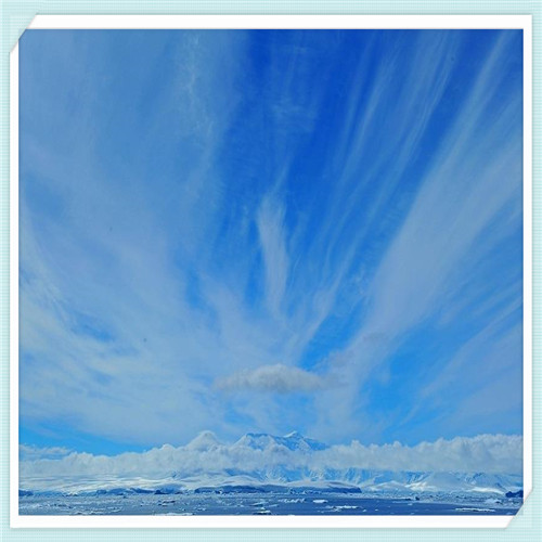 工业路由器品牌排行榜(工业级路由器哪家好)