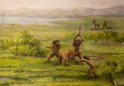 足球有多少人喜欢(足球为什么这么受欢迎?)