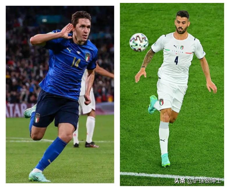 意大利无缘世界杯意大利舆论（意大利国家队连续两届无缘世界杯，浅谈作为意大利球迷的感想）