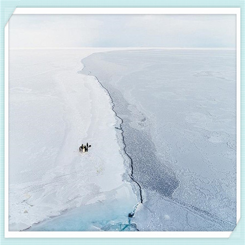雨点密集地喧嚷着（风将银色的雨幕斜挂起来仿写句子）