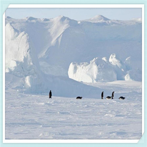 联想现在如何了（联想公司现在情况如何）