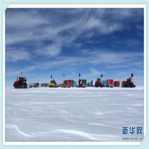 鳕鱼的营养价值（鳕鱼的营养价值及功效）-华海博客