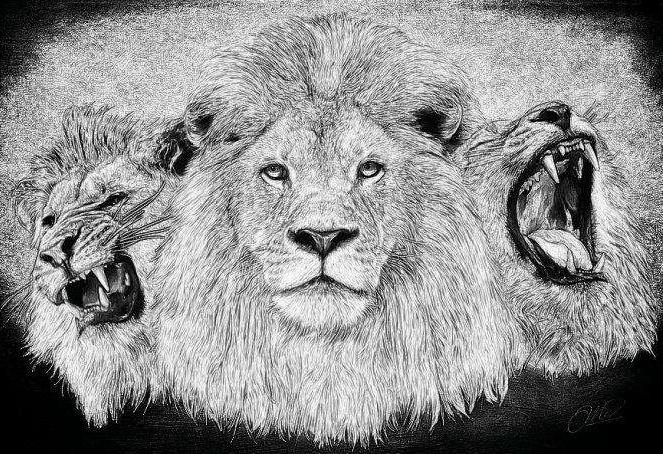 世界杯为什么没贝克汉姆(从1998到2002,回顾贝克汉姆的救赎之旅)