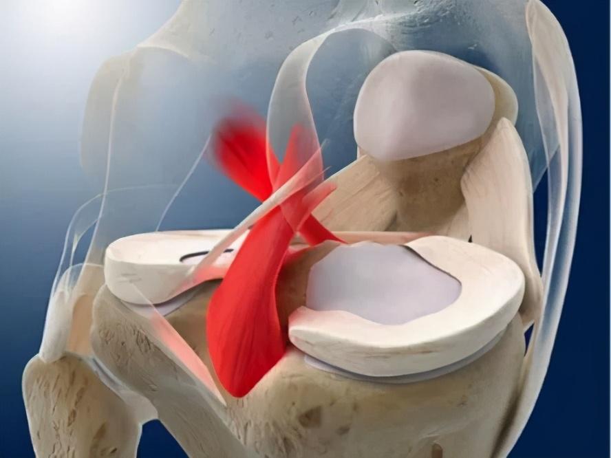 足球运动员容易哪里受伤（欧洲杯激战，这5种常见的足球运动损伤你不可不知）