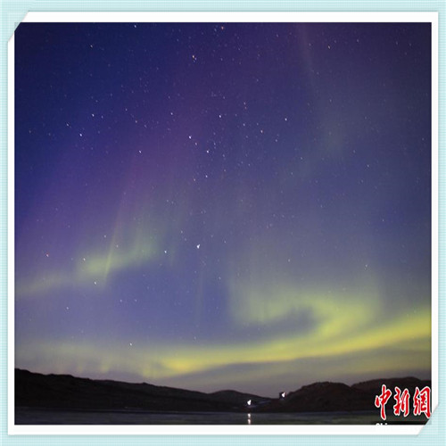 全自动抓鸟神器视频（全自动抓鸟神器在那里买）