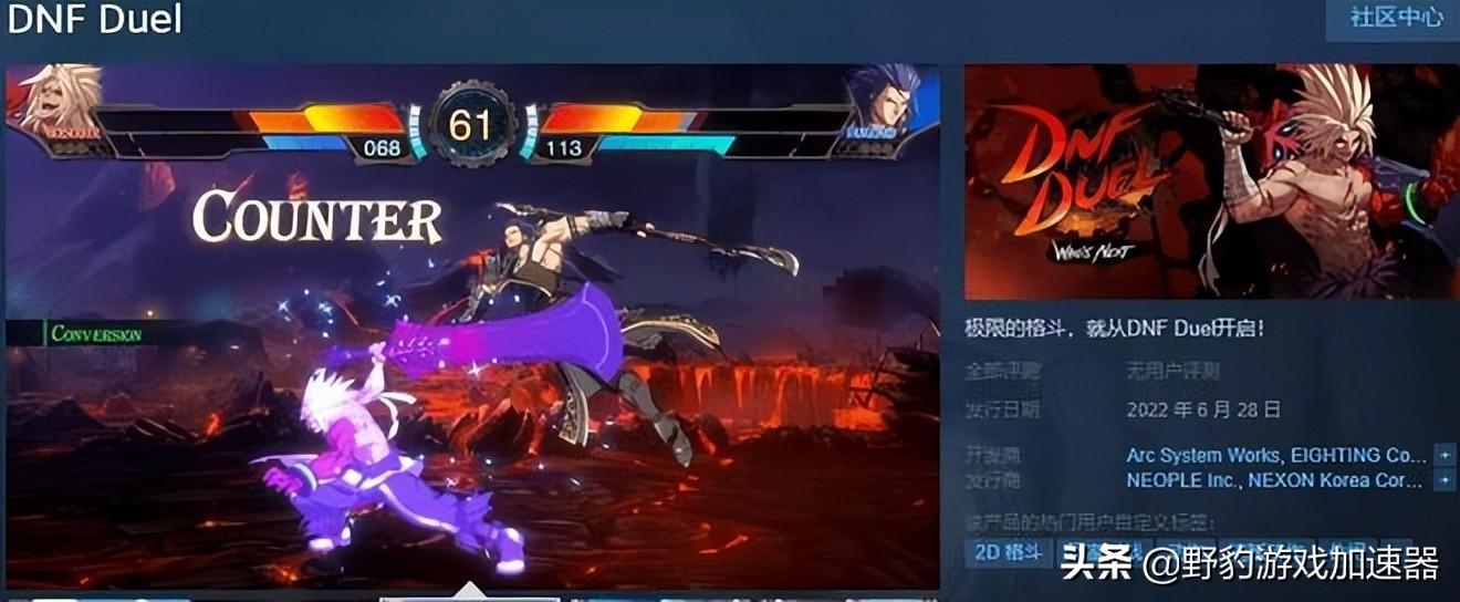 野豹加速器独享IP上线（《地下城与勇士：决斗》已于今日上线，账号注册下载加速器全流程）