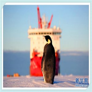 爆发力特别强的人特点（体育爆发力强的人的特点）-华海博客