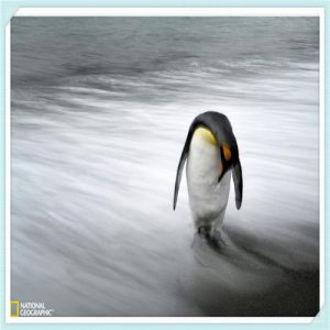 教育行业是干嘛的（教育行业好干嘛）-华海博客