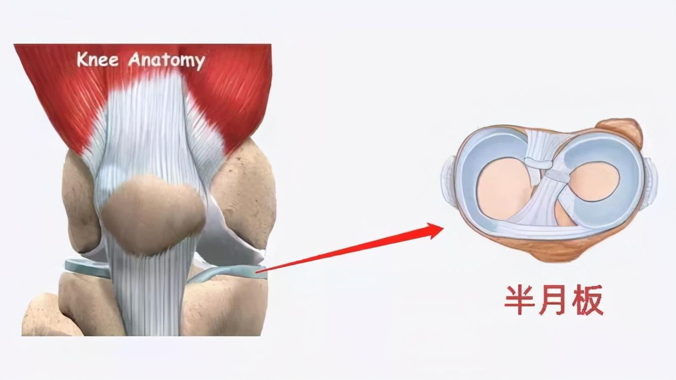 足球运动员容易哪里受伤（5 种常见的足球运动损伤，骨科医生来支招）