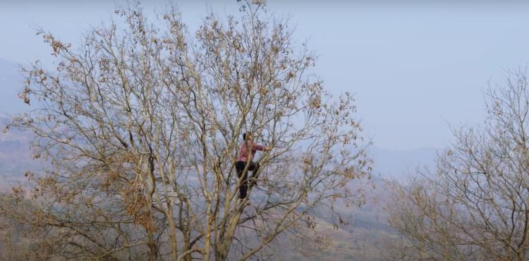 国足02年世界杯视频为什么找不到（你还记得那次中国男足世界杯夺冠吗）