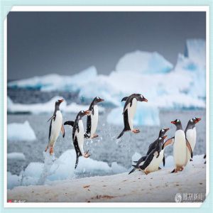 工商红盾网（工商红盾网企业查询）-华海博客