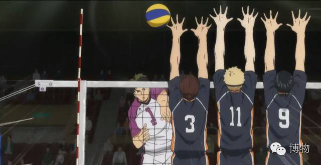 排球有哪几项基本技术(不看不知道,排球这项运动有这么多门道)