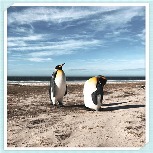 全能英才保险产品介绍(平安全能英才保险产品介绍)