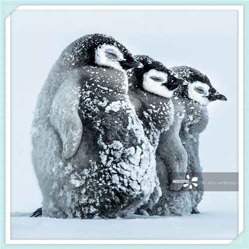 厦门底薪4000(厦门底薪2021最新标准)