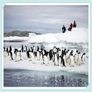 如何区分声卡好坏(瓷砖如何区分好坏)-华海博客