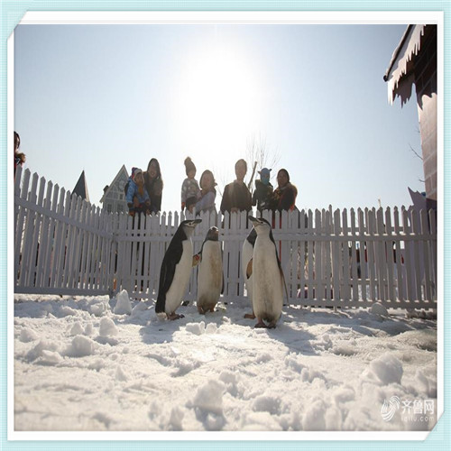 雨滴落下来至少扩两句(雨滴落下来怎样扩句)