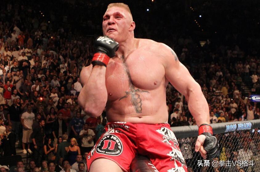 历届ufc冠军名单（UFC近十年来重量级冠军“小菊”、“岳父”、“黑球”、等）