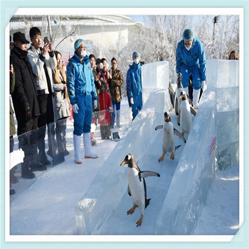 水君怎么抓(剑盾水君怎么抓)