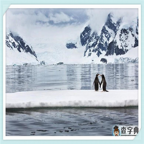 齐鲁百花蜂蜜怎么样(百花蜂蜜质量怎么样)