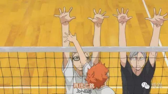 排球有哪几项基本技术(不看不知道,排球这项运动有这么多门道)