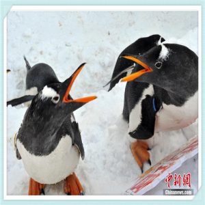 自由光怎么样值得买吗(jeep自由光怎么样值得买吗)-华海博客