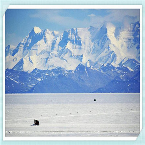 8万左右质量最好的车(5万左右质量最好的车)