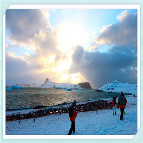 为什么日产的发动机最安静（为什么日系发动机那么安静）