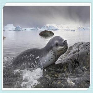 永琪在全国有多少家店（永琪全国多少门店）-华海博客