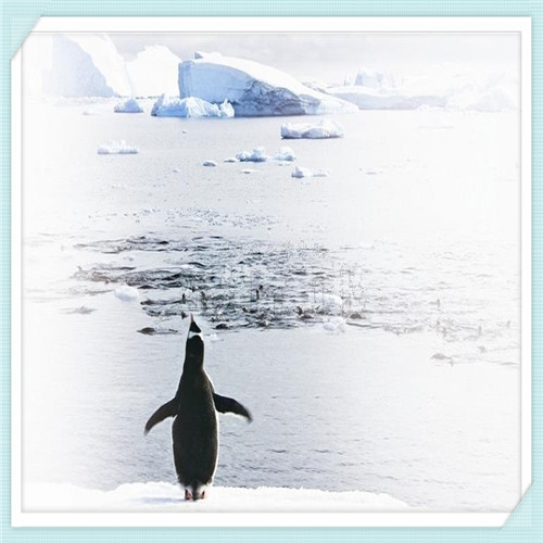 egf面膜金色（日本egf金色面膜）