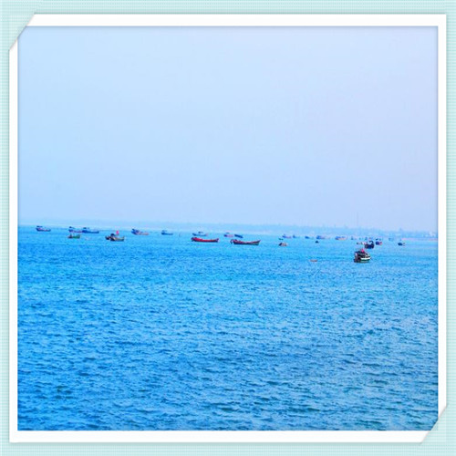 阳光喔语文培训学校怎么样(石家庄阳光培训学校怎么样)