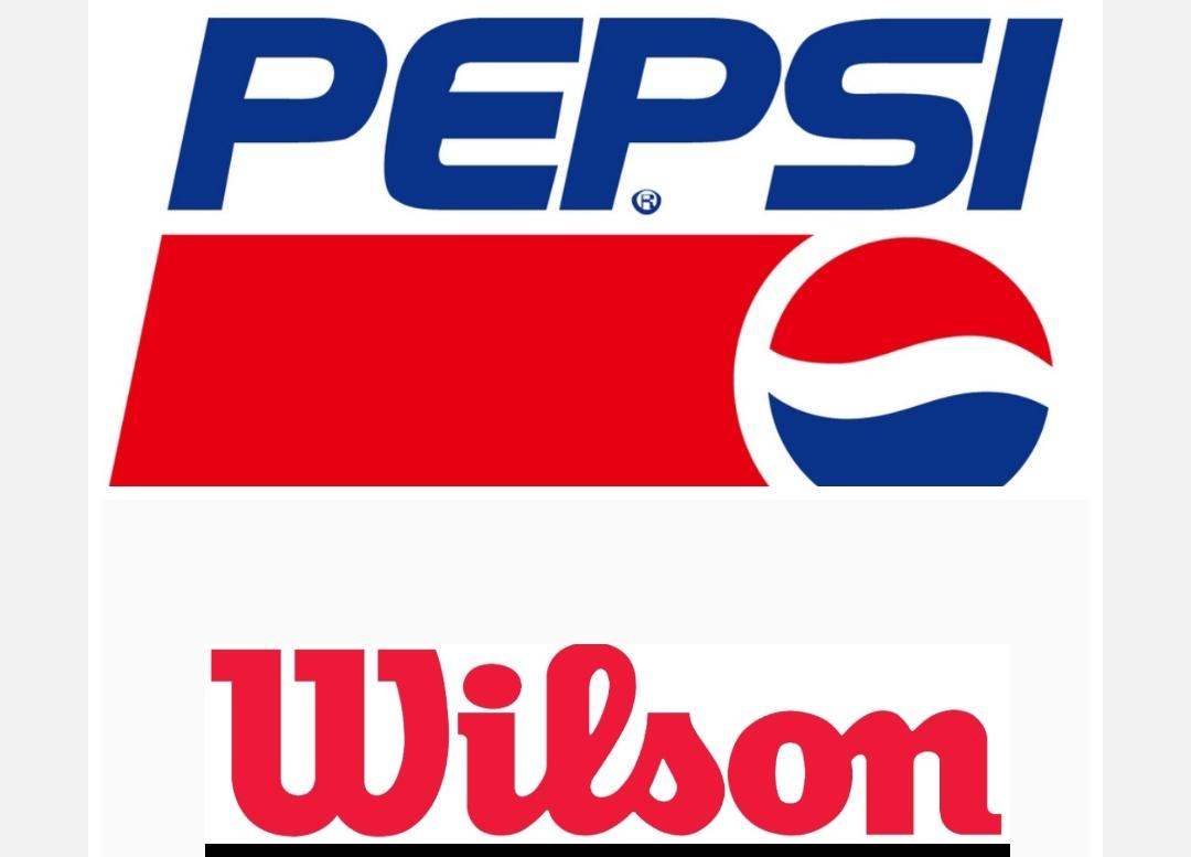 斯伯丁篮球83系列(两次成为nba官方用球,威尔胜到底什么来头?乔丹罗斯代言过它)