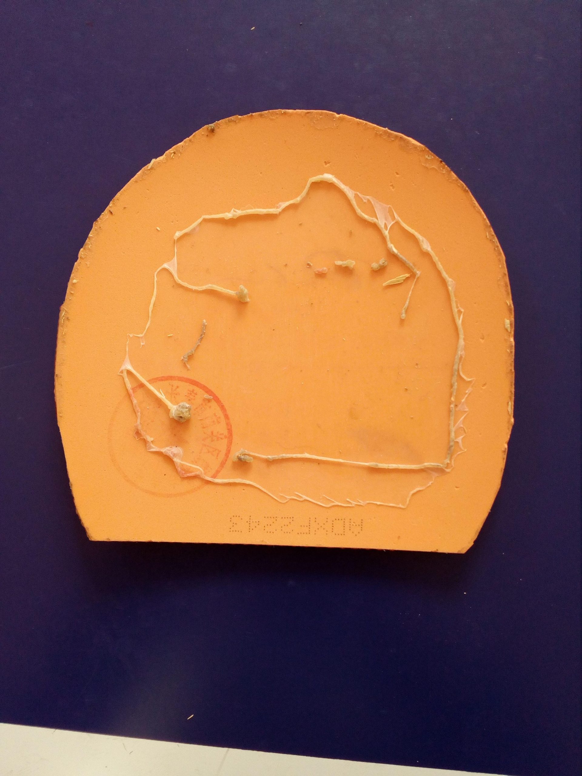 乒乓球胶皮需要除胶吗(快速清理乒乓球胶皮和底板上残留的胶水层,乒乓球爱好者的小窍门)