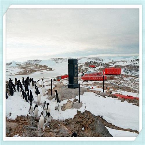 全自动抓鸟神器视频（全自动抓鸟神器在那里买）